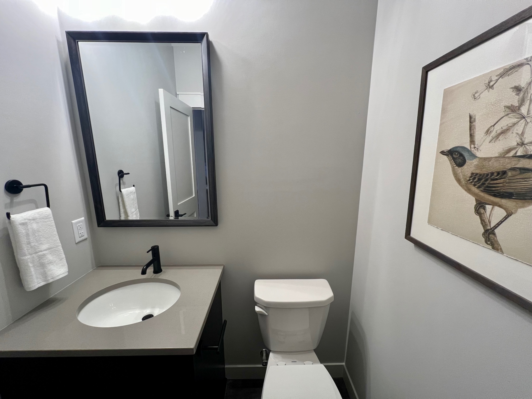 Compact powder room with framed bird artwork.