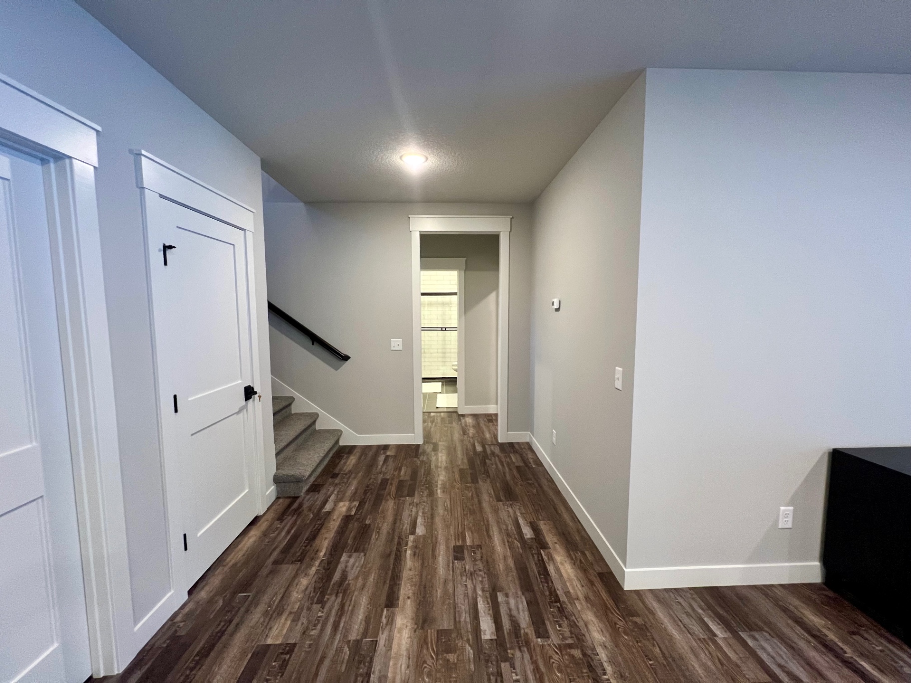 Carpeted stair down to the walkout, with guest bath and storage off the hall.