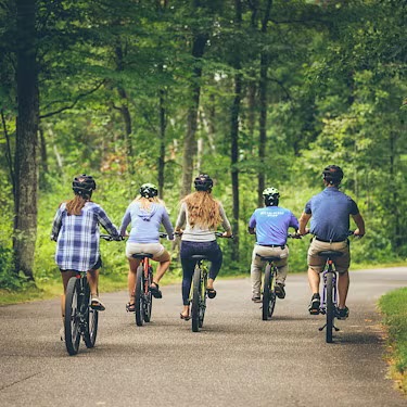 Trails & Forest Rides